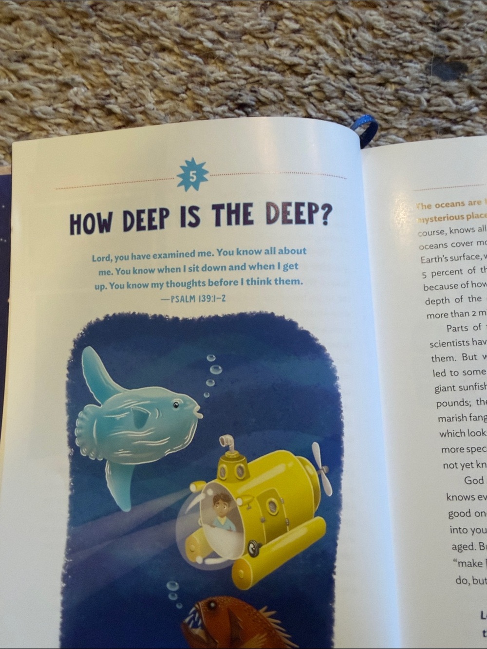 Children’s devotional - Picture 4 of 5